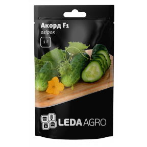 Огірок Акорд F1, Ledaagro