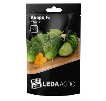 Огірок Акорд F1, Ledaagro