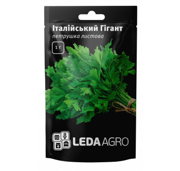 Петрушка Італійський Гігант, Ledaagro