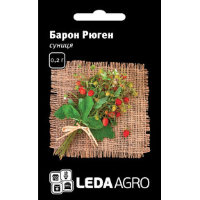 Суниця Барон Рюген F1, Ledaagro