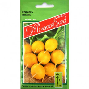 Редиска Злата, Moravoseed