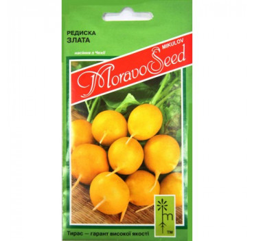 Редиска Злата, Moravoseed