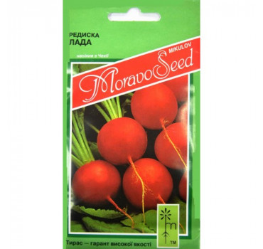 Редиска Лада, Moravoseed