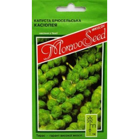Капуста брюсельська Касіопія F1, Moravoseed
