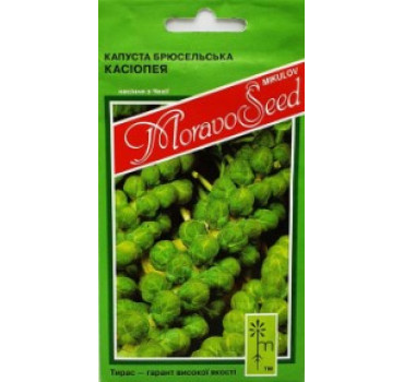 Капуста брюсельська Касіопія F1, Moravoseed