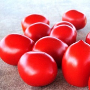 Томат Ред скай F1, Nunhems