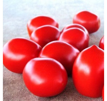 Томат Ред скай F1, Nunhems