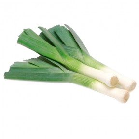 Цибуля порей Кріптон, Nunhems