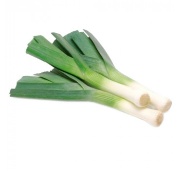 Цибуля порей Кріптон, Nunhems