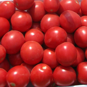 Томат Дональд F1, Nunhems