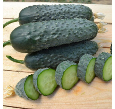 Огірок Пікскор F1, Nunhems