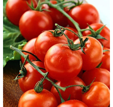 Томат Солероссо F1, Nunhems