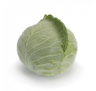 Капуста Болерома F1, Rijk Zwaan