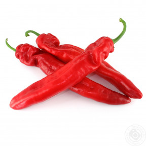 Перець солодкий Палермо F1, Rijk Zwaan