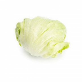 Салат Ізанас, Rijk Zwaan