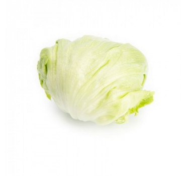 Салат Ізанас, Rijk Zwaan