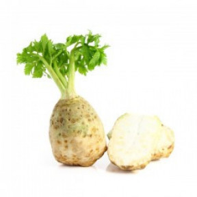 Сельдерей Отаго, Rijk Zwaan