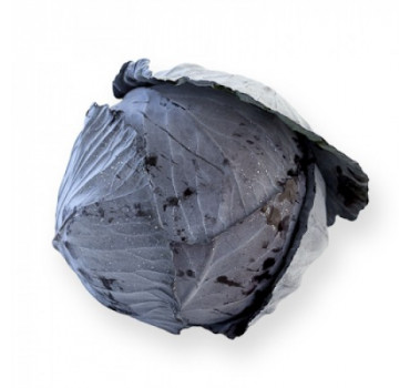 Капуста Футуріма F1, Rijk Zwaan