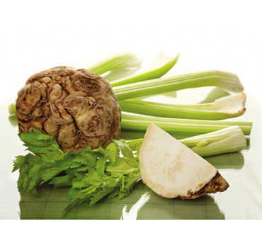 Селера Президент, Rijk Zwaan