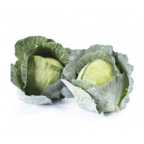 Капуста Владима F1, Rijk Zwaan