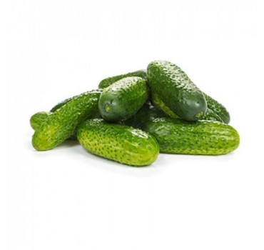 Огірок Брідж F1, Rijk Zwaan