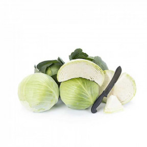 Капуста Дульсима F1, Rijk Zwaan