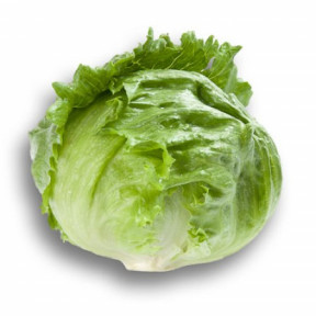 Салат Дьюрнас, Rijk Zwaan