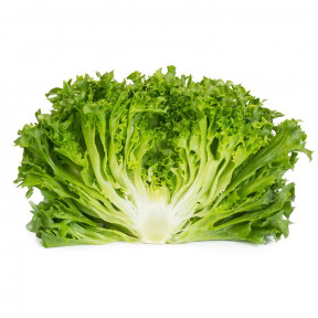 Салат Дюнан, Rijk Zwaan