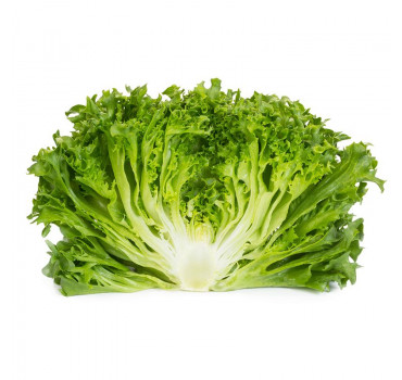 Салат Дюнан, Rijk Zwaan