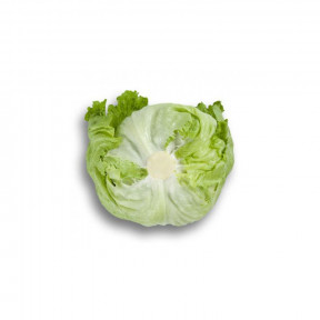 Салат Ікебанас, Rijk Zwaan