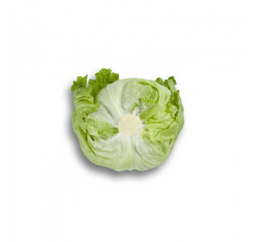 Салат Ікебанас, Rijk Zwaan