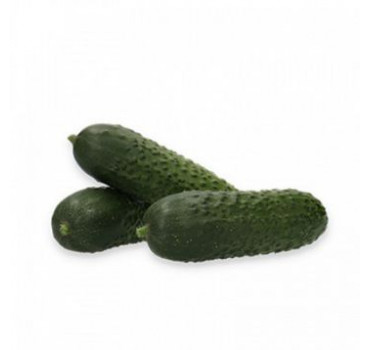 Огірок Ілонара F1, Rijk Zwaan