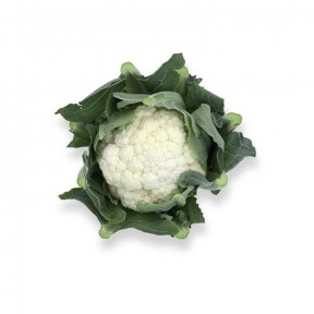 Капуста цветная Витурри F1, Rijk Zwaan Капуста цветная Витурри F1, Rijk Zwaan