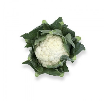 Капуста цвітна Вітуррі F1, Rijk Zwaan