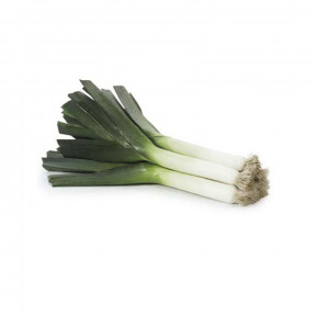 Лук порей Матейко, Rijk Zwaan Лук порей Матейко, Rijk Zwaan