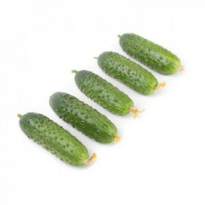 Огірок Тріоле F1, Rijk Zwaan Огірок Тріоле F1, Rijk Zwaan