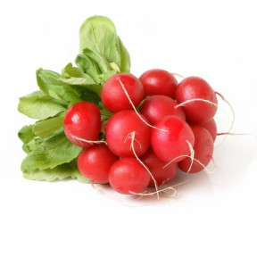 Редис Белсей, Rijk Zwaan