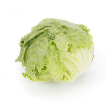 Салат Мерлінас, Rijk Zwaan