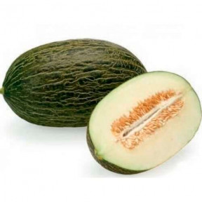 Диня Месура F1, Rijk Zwaan