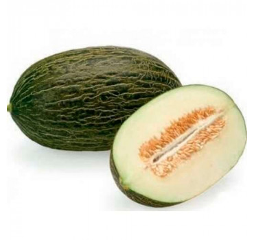 Диня Месура F1, Rijk Zwaan