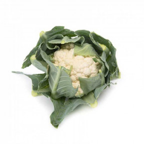 Капуста цветная Ариензо F1, Rijk Zwaan Капуста цветная Ариензо F1, Rijk Zwaan