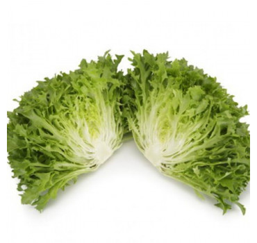 Салат Екстемп, Rijk Zwaan