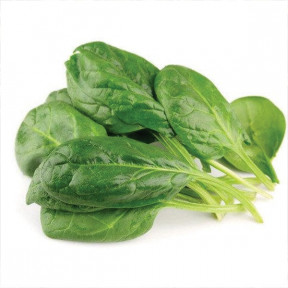 Шпинат Вудпекер, Rijk Zwaan