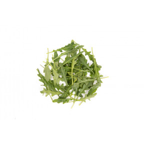 Рукола Темисто, Rijk Zwaan