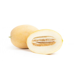 Диня Тагбо F1, Rijk Zwaan