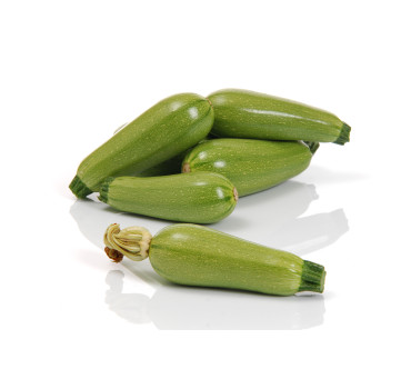 Кабачок Ківі F1, Sakata