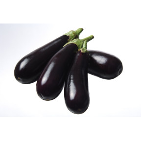 Баклажан Рома F1, Sakata