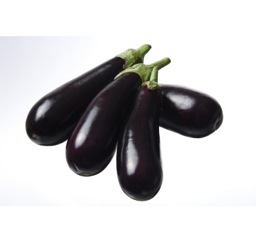 Баклажан Рома F1, Sakata