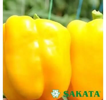 Перець ЕСПАРТАНО F1, Sakata