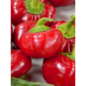 Перець ТОПЕПО РОССО - ФЛУМЕРІ, Esasem